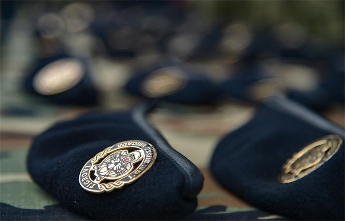 Čestitka "Tigrovima" uz 33. obljetnicu ustrojavanja